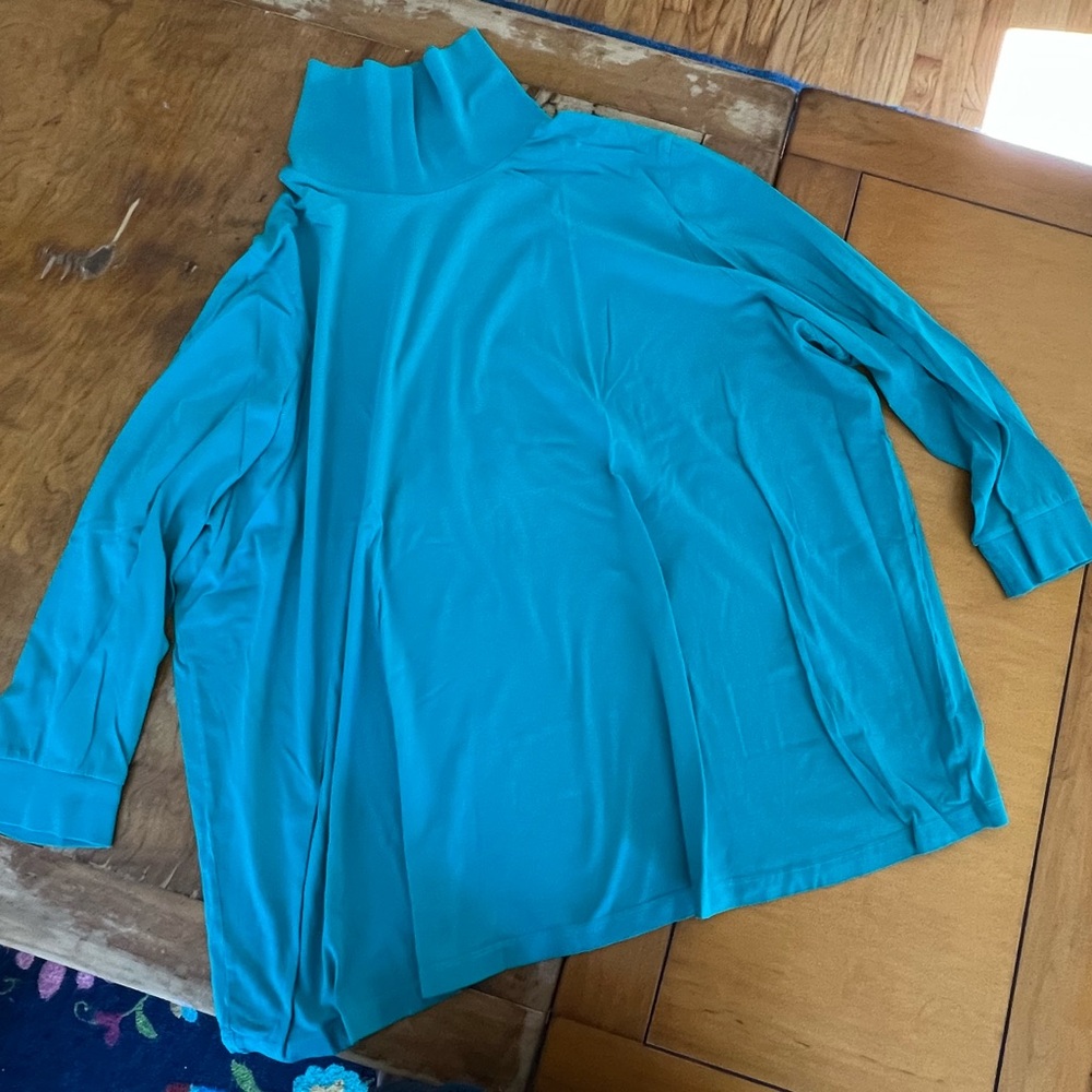 Woman Within turtleneck shirt